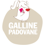 Galline Padovane